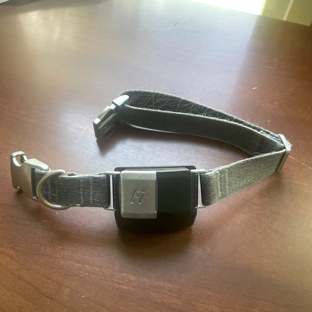 Fi Collar and Charging Station Series 2 grey large breed